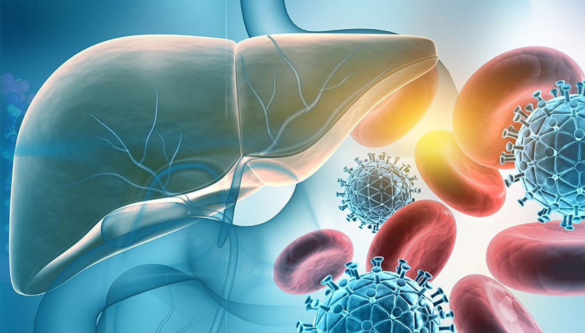 Вірусний гепатит В та вірусний гепатит С: Як перевіритись і що робити далі