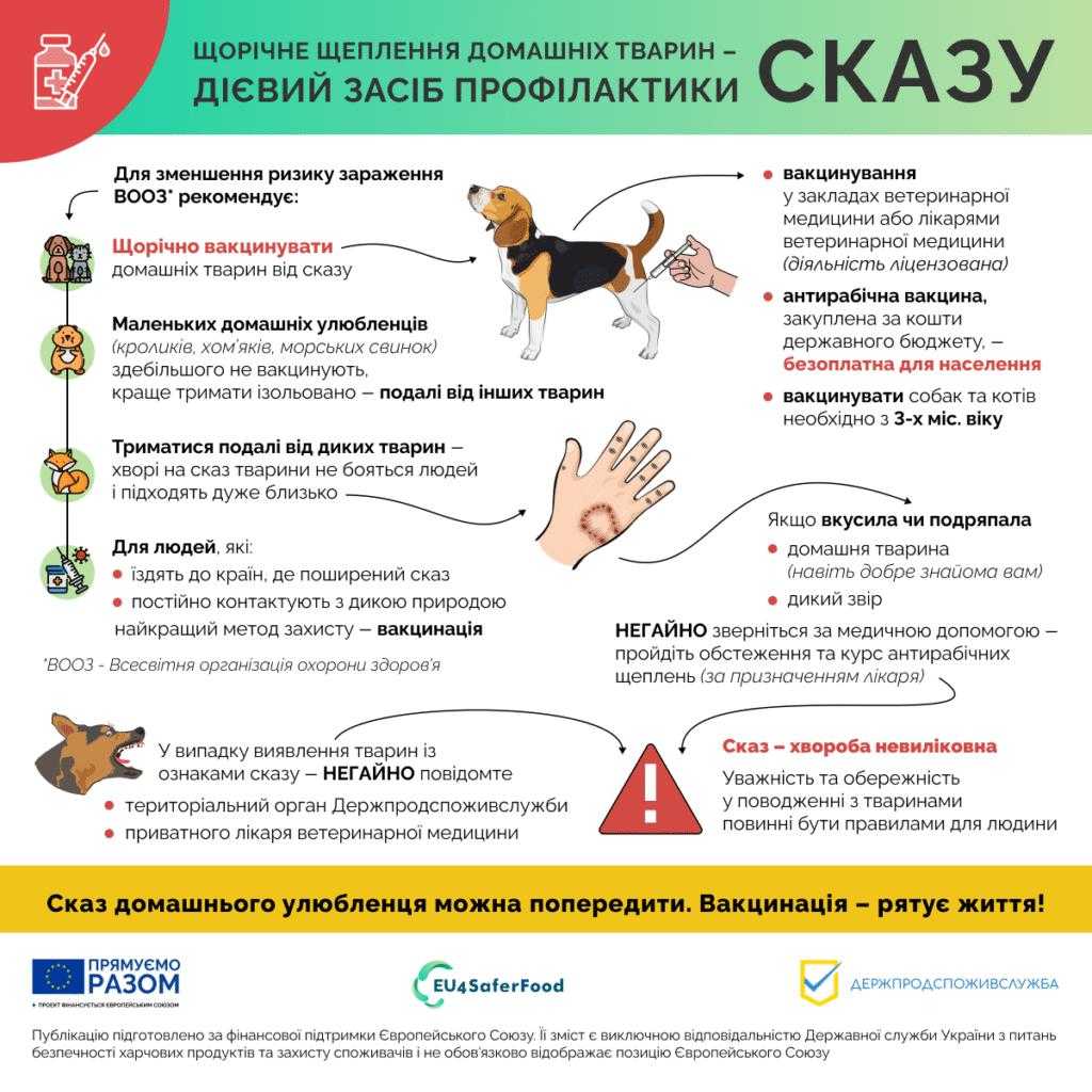 28 вересня відзначають Всесвітній день боротьби зі сказом